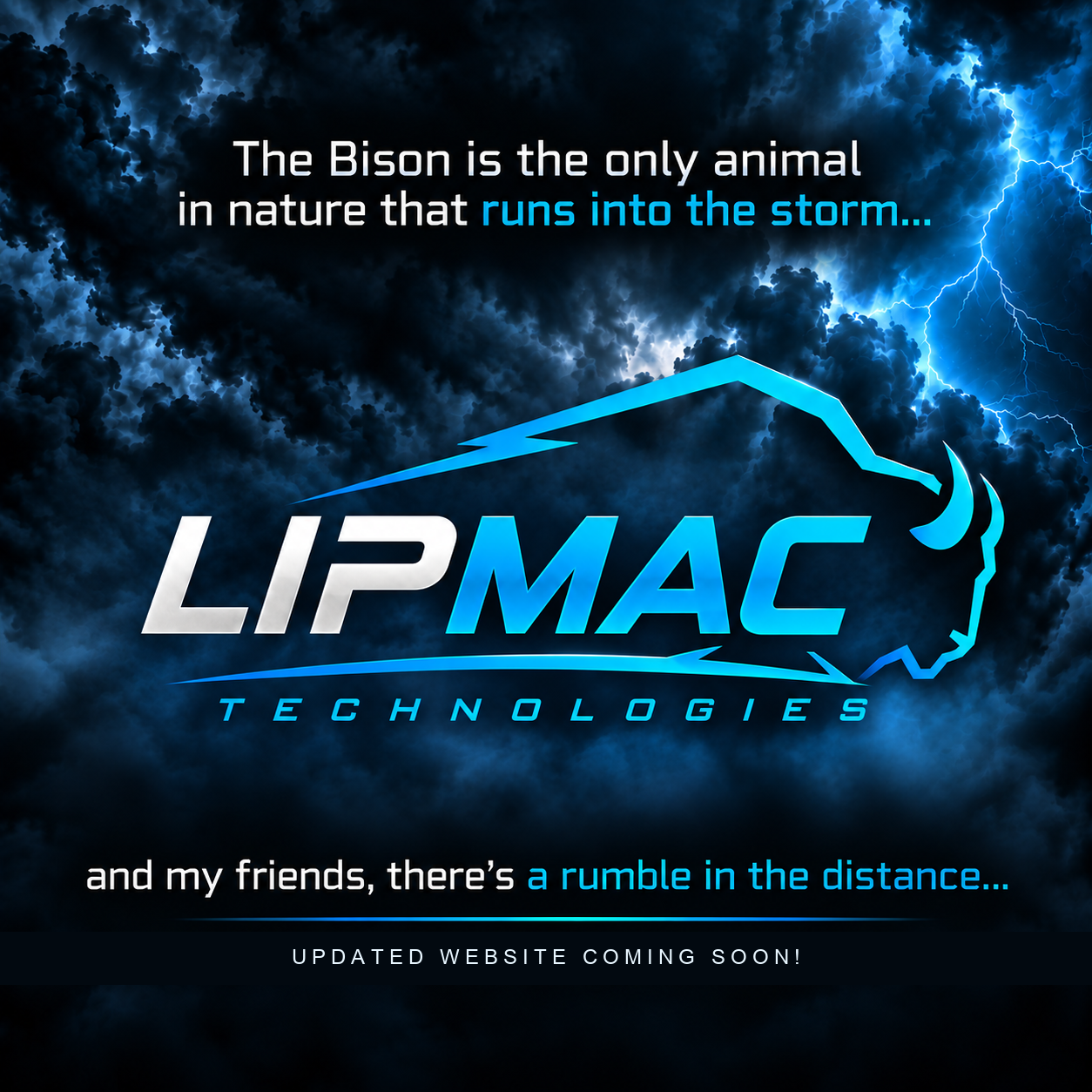 LipMac Technologies - The Bison is the only animal in nature that runs into the storm. Website coming soon.